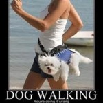 Dog Walking - Fanwood Pet Care