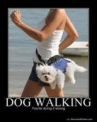 Dog Walking - Fanwood Pet Care